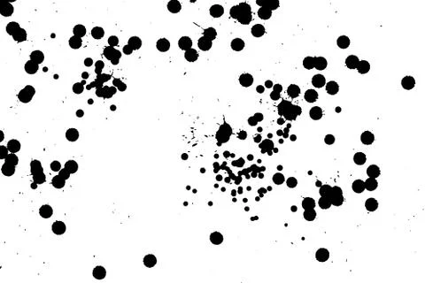 Ink grunge drops texture. Black hand drawn splashes and stains on white Stock Illustration