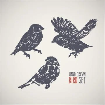 Ink hand drawn bird set Stock Illustration