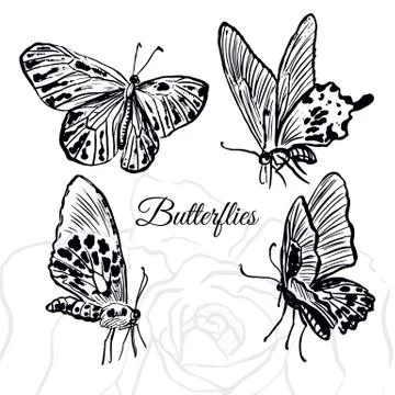 Ink hand drawn butterflies collection Stock Illustration