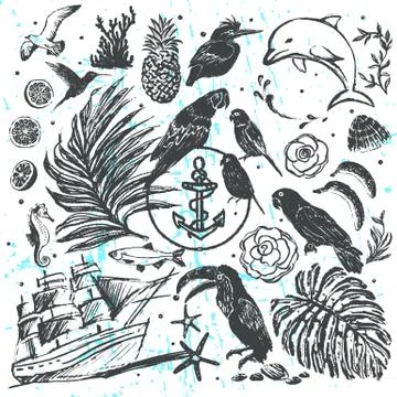 Ink hand drawn vector elements All about Tropical Sea Vacations Illustrazione stock