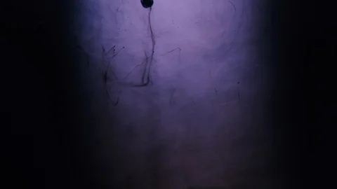 Ink injected violet water liquid dye infusion Stock Footage 110884335