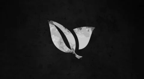 Ink logo reveal Stockmateriaal After Effects