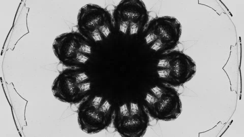 Ink mandala black smoke cloud kaleidoscope art Stock Footage 282332120