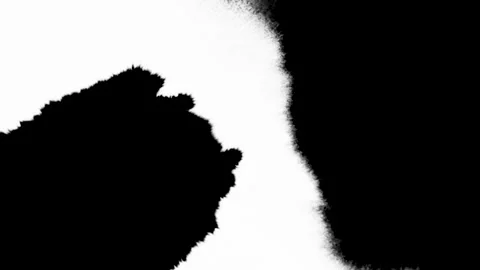 Ink matte, splash transition reveals. Ink bleed, bloom, drips. Artistic splatter Video stock 154572075