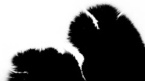 Ink matte, splash transition reveals. Ink bleed, bloom, drips. Artistic splatter Video stock 154574032