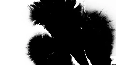 Ink matte, splash transition reveals. Ink bleed, bloom, drips. Artistic splatter Video stock 154575250