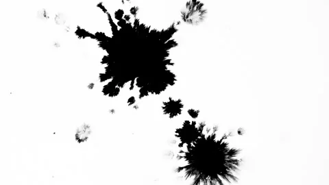 Ink matte, splash transition reveals. Ink bleed, bloom, drips. Artistic splatter Stock Footage 154576853
