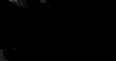 Ink Matte Transition on White Background 库存影片 121685171