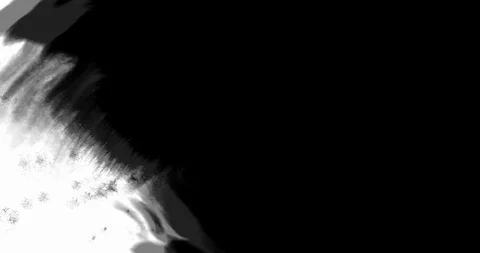 Ink Matte Transition on White Background 库存影片 121685282