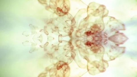 Ink in motion Stock Footage 75395821