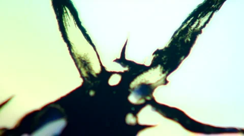 Ink Organism 2 Stock Footage