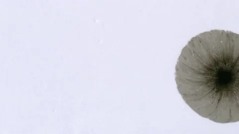 Ink On Paper 1 Stock-Footage 201886589