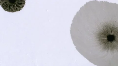 Ink On Paper 2 Stock-Footage 201886586