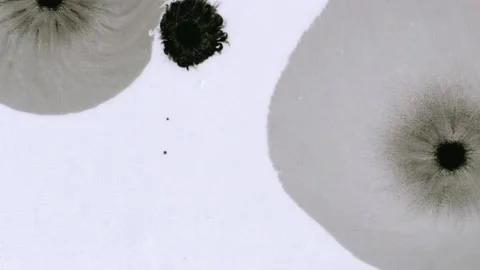 Ink On Paper 3 Видео 201886587