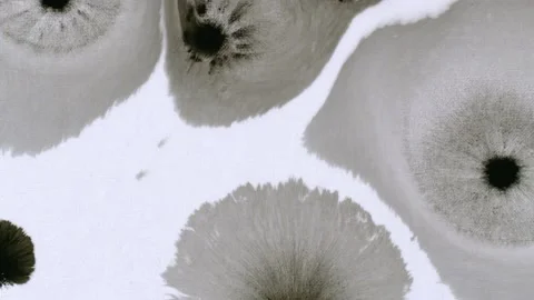 Ink On Paper 5 Stock Footage 201886595