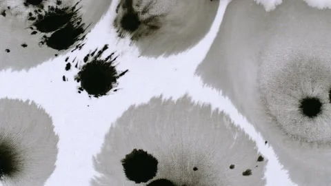 Ink On Paper 7 Stock Footage 201886601