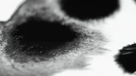 Ink paper drop wet blob texture black paint white Stock Footage 191544565