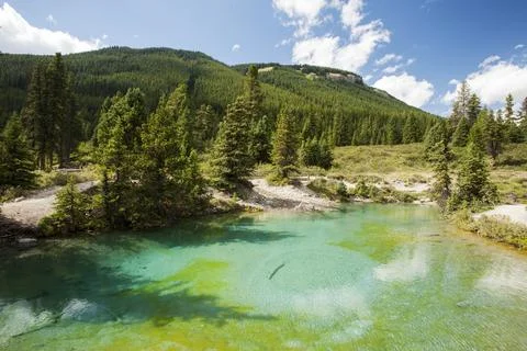 The Ink Pots, limestone spring water pools in Johnsons Canyon in the Banff na Stock Photos