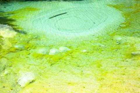 The Ink Pots, limestone spring water pools in Johnsons Canyon in the Banff na Stock Photos