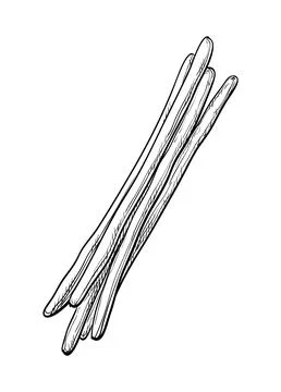 Ink sketch of bread sticks. Stock Illustration