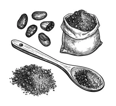 Ink sketch of cocoa. Stock Illustration