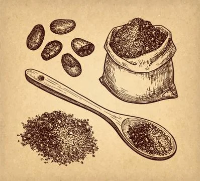 Ink sketch of cocoa. Stock Illustration
