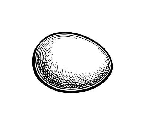 Ink sketch of egg. Illustrazione stock