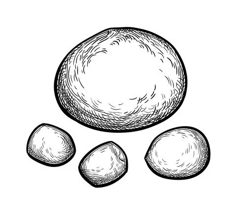 Ink sketch of mozzarella cheese. Stock Illustration