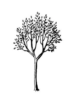 Ink sketch of spring tree. Stock Illustration