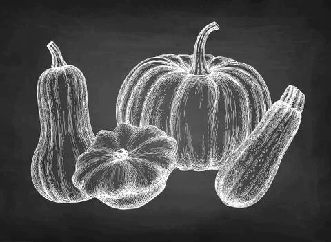 Ink sketch of squashes. Stock Illustration