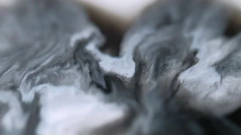 Ink spill fluid blend black white acrylic emulsion Stock Footage 283611783