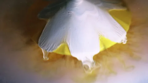 Ink spilling paint pyramid particles liquid water Video stock 333810707