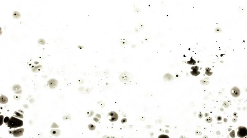 Ink Splashes With Alpha. Ink Bleeds. Ink Blots. Vídeo Stock 79804284