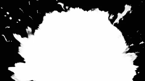 Ink Splashes. White on Black Transitions. Footage Ink Footage Transition White Stock Footage 236348536