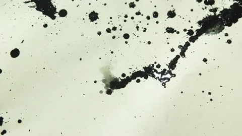 Ink splashing on white background artistic shot Stock Footage 165167625