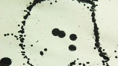 Ink splashing on white background artistic shot Stock Footage 165170919