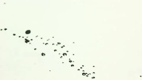 Ink splashing on white background artistic shot Stock Footage 165187520