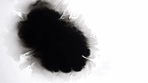 Ink Splatter Black on White Background. Minimalist Ink Black on White for Stock Footage 235725133