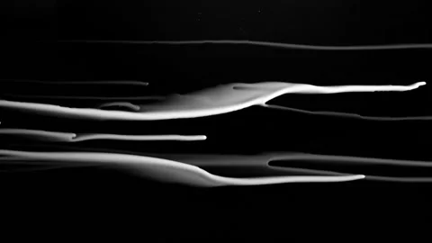 Ink splatter blot spreading from left to right. Best for Transition. A Stock Footage 138540142