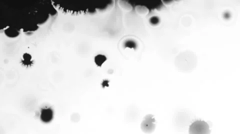 Ink splatter Stock Footage 33731400