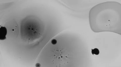 Ink splatter Stock Footage 33731408