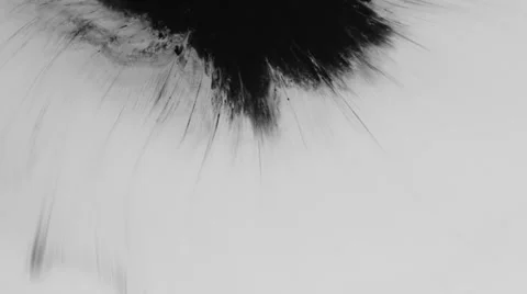 Ink splatter 스톡 동영상 33731573