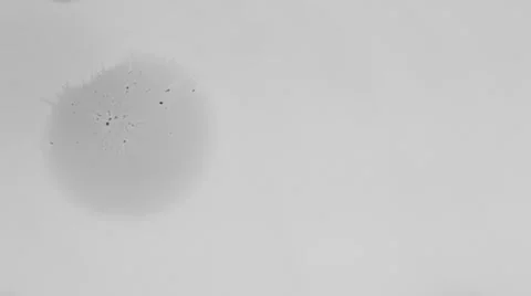 Ink splatter Video stock 33731702