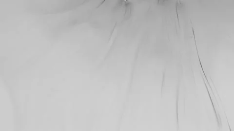 Ink splatter Stock Footage 33732013