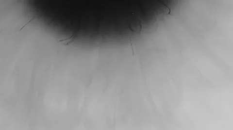 Ink splatter Stock Footage 33732096