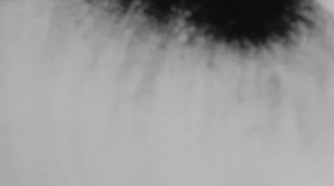 Ink splatter 스톡 동영상 33732798