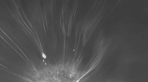 Ink splatter Stock Footage 33733172