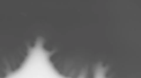 Ink splatter Stock Footage 33733657