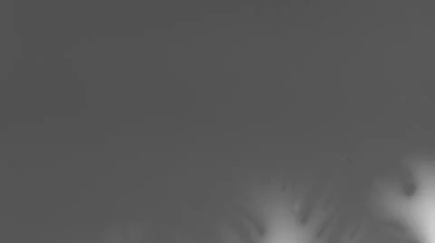 Ink splatter Vidéo 33733717