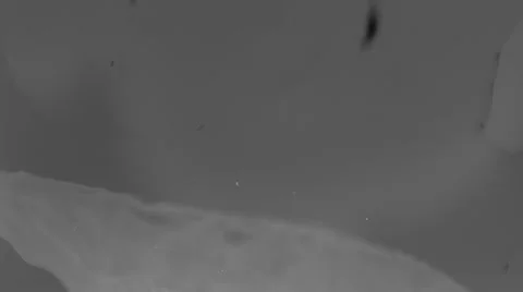 Ink splatter Stock Footage 33733786